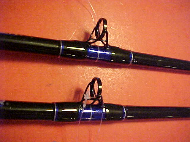 Shakespeare Tidewater Spinning Rod